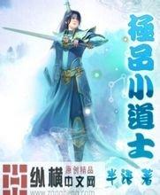 澳门精准正版免费大全14年新银触点的价格